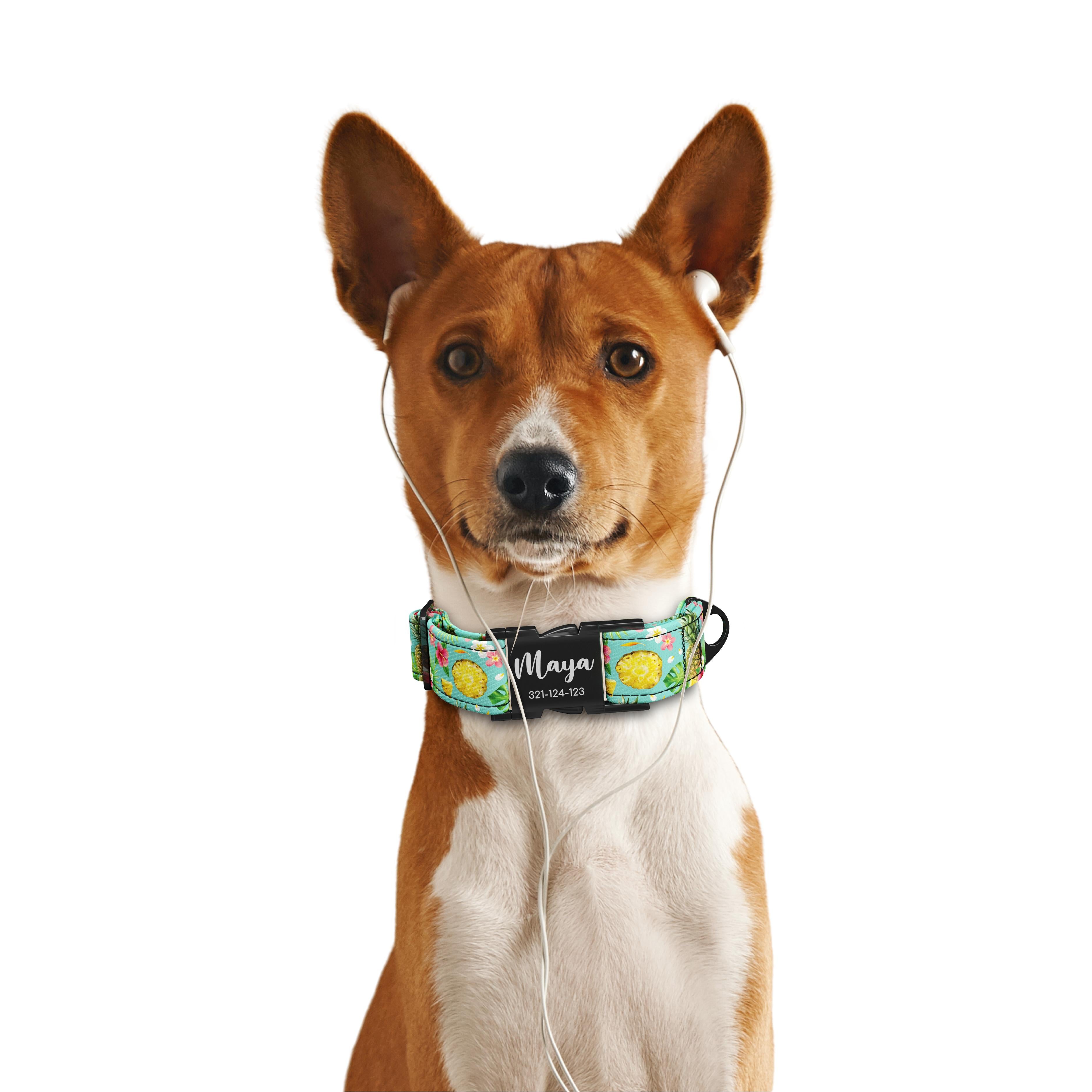 Pineapple Emerald Personalized Dog Collar