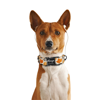 Herbstfarben Pfirsich personalisiertes Hundehalsband