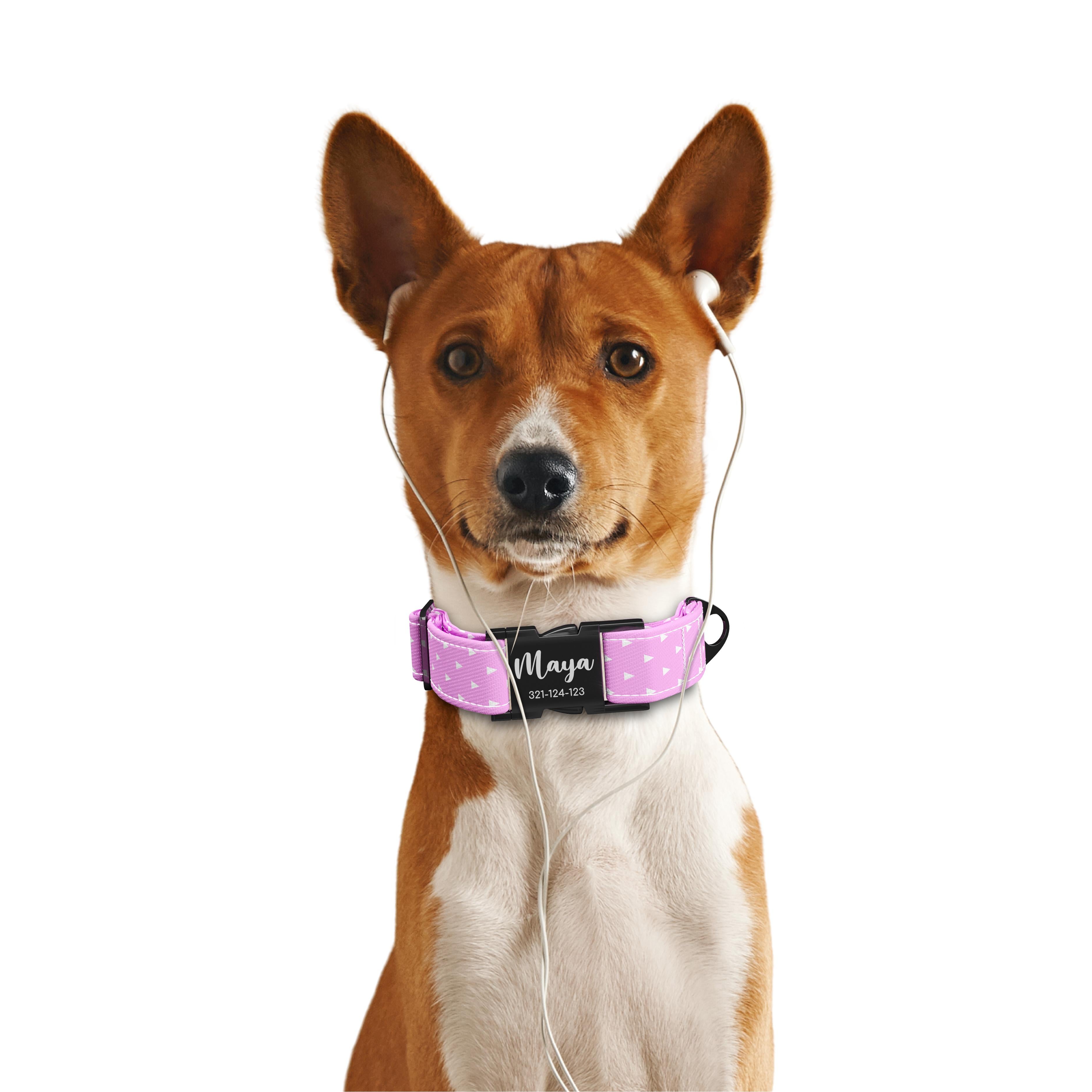 Triangles French Personalized Dog Collar