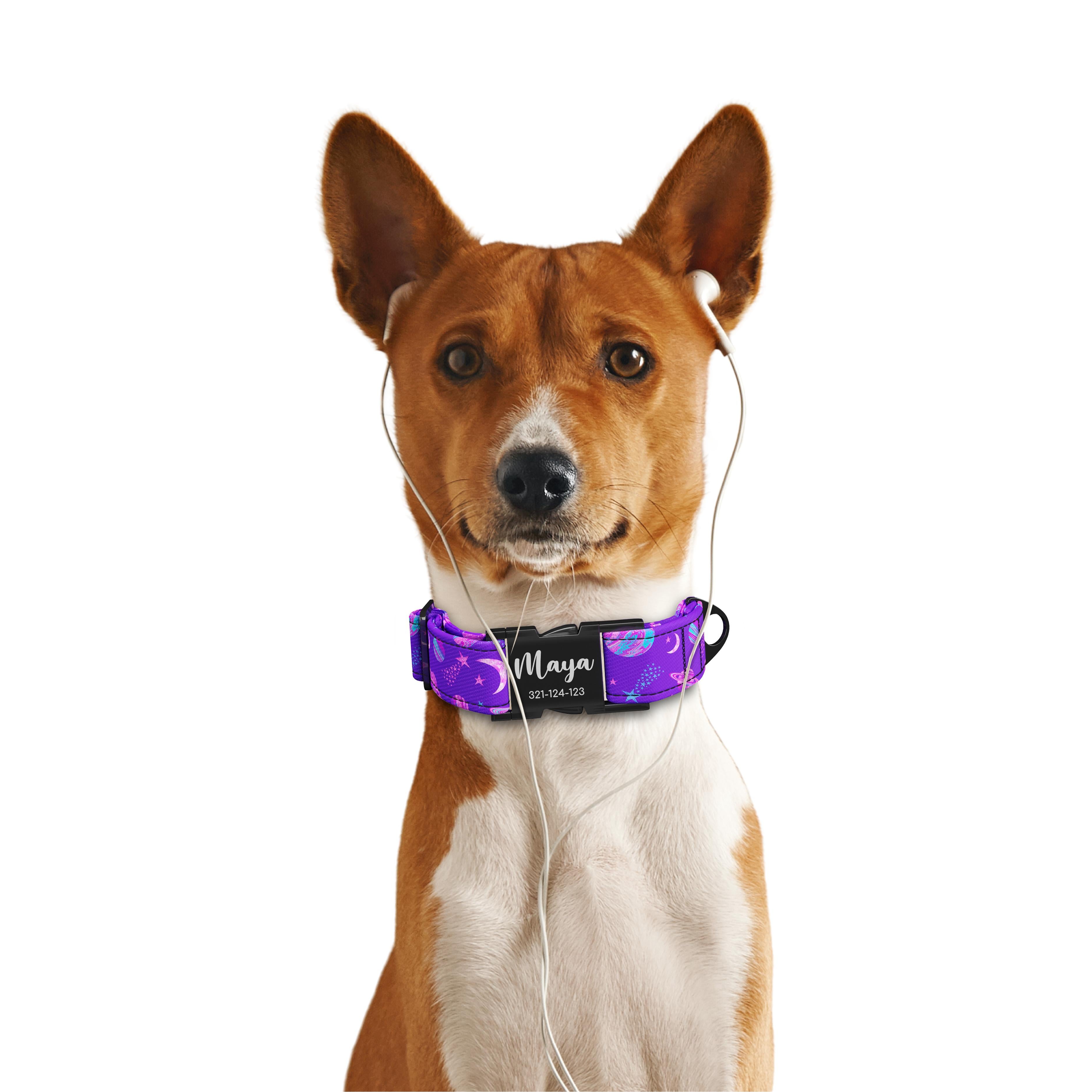 Space Cowboy Psy Personalisiertes Hundehalsband