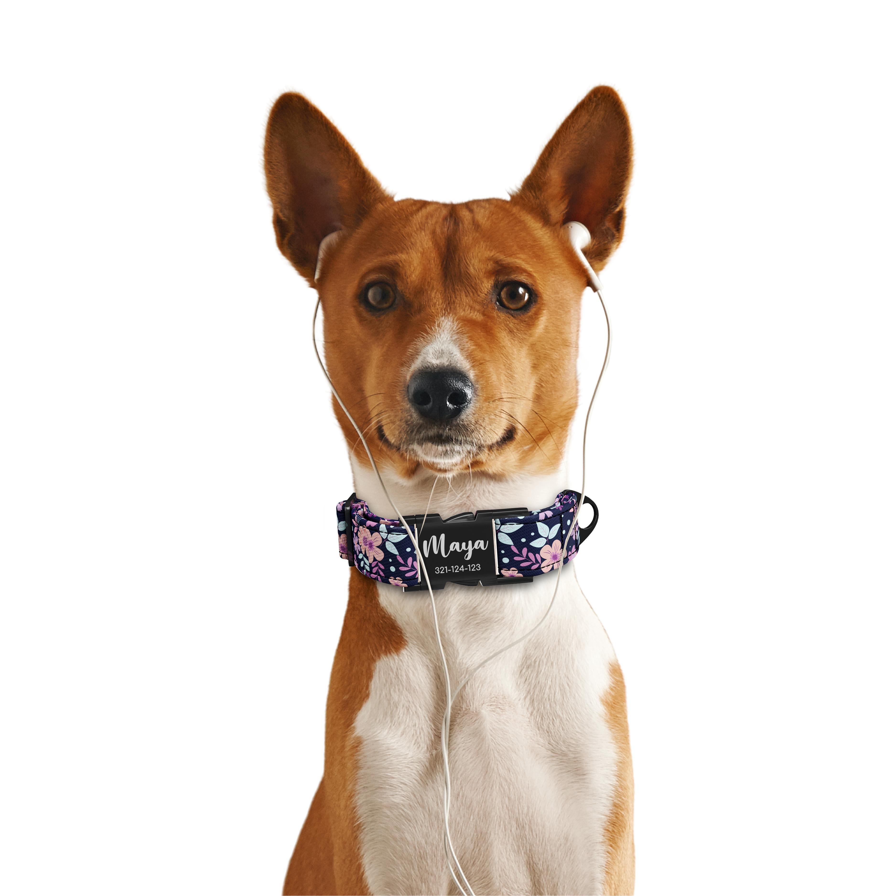 Folkloer Flowers Leven Personalized Dog Collar