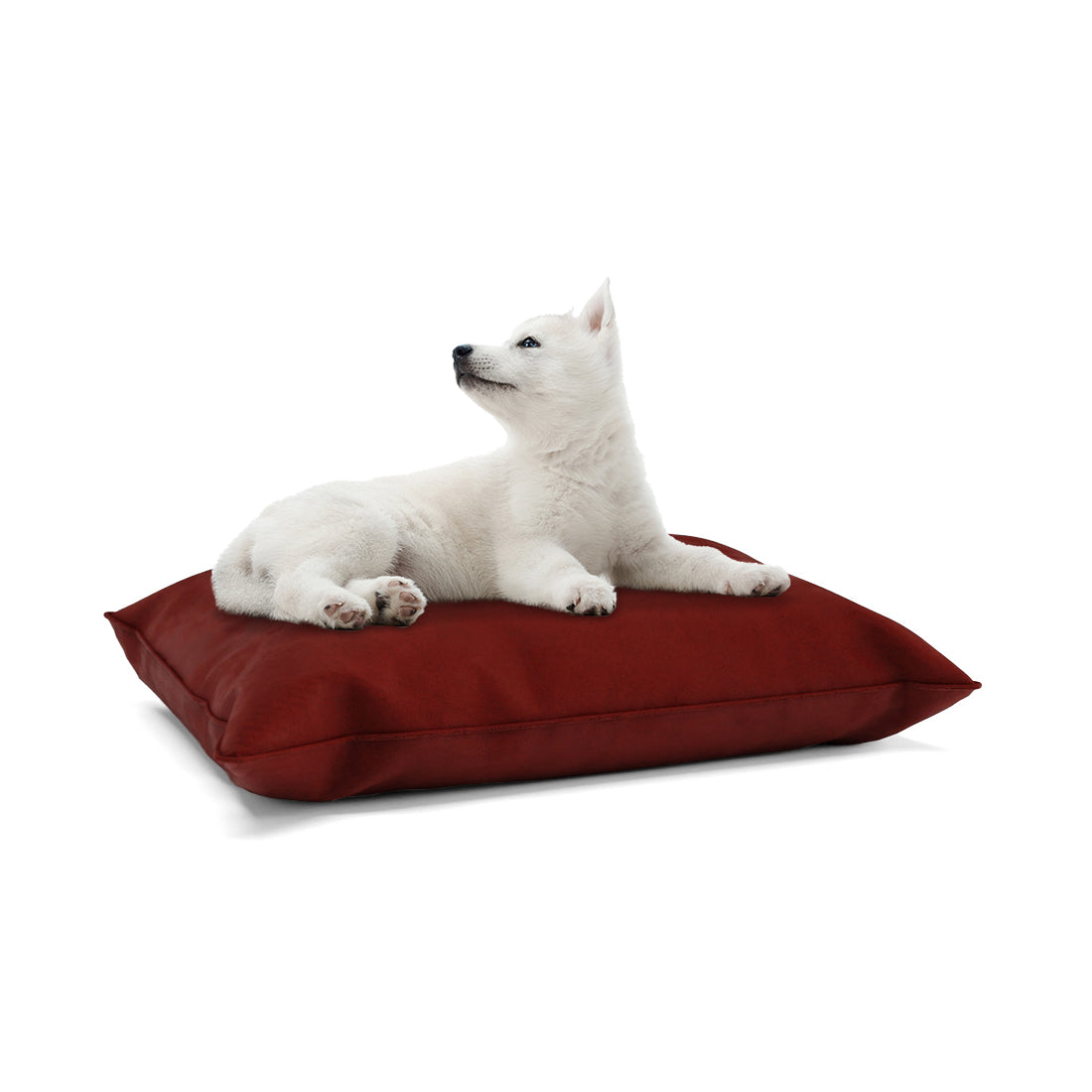 Luxury Velvet Look Mahogany Personalized Pillow Style Dog Bed