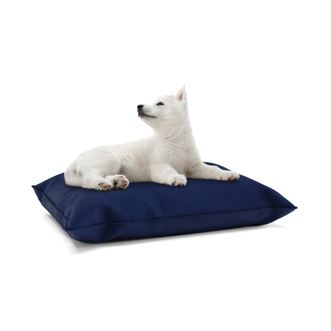 Luxury Velvet Look Roya Personalized Pillow Style Dog Bed