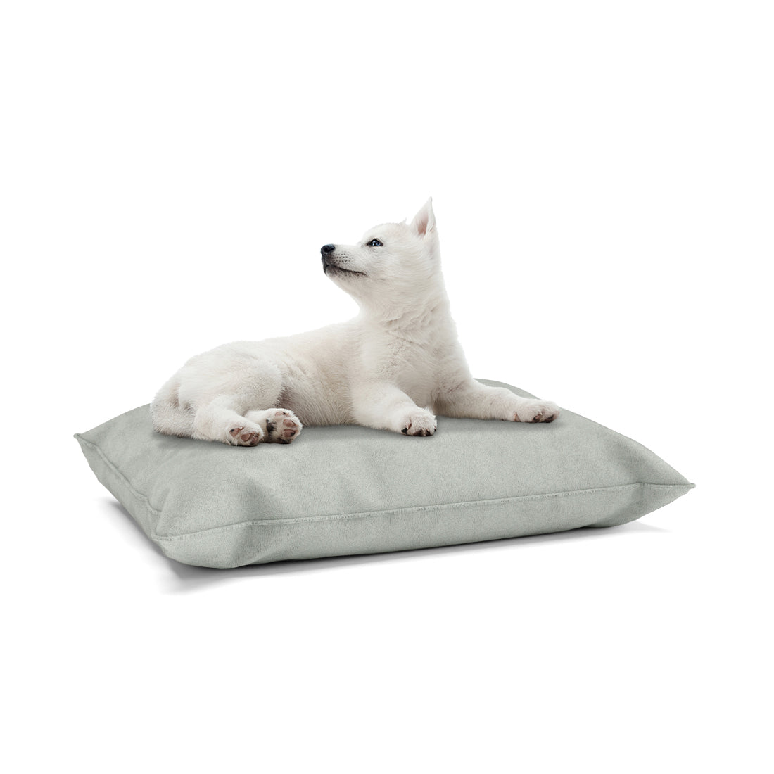 Luxury Velvet Look Silver Personalized Pillow Style Dog Bed