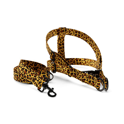 Leopard Persian Personalized Dog Fashion Belt Harness And Leash Set