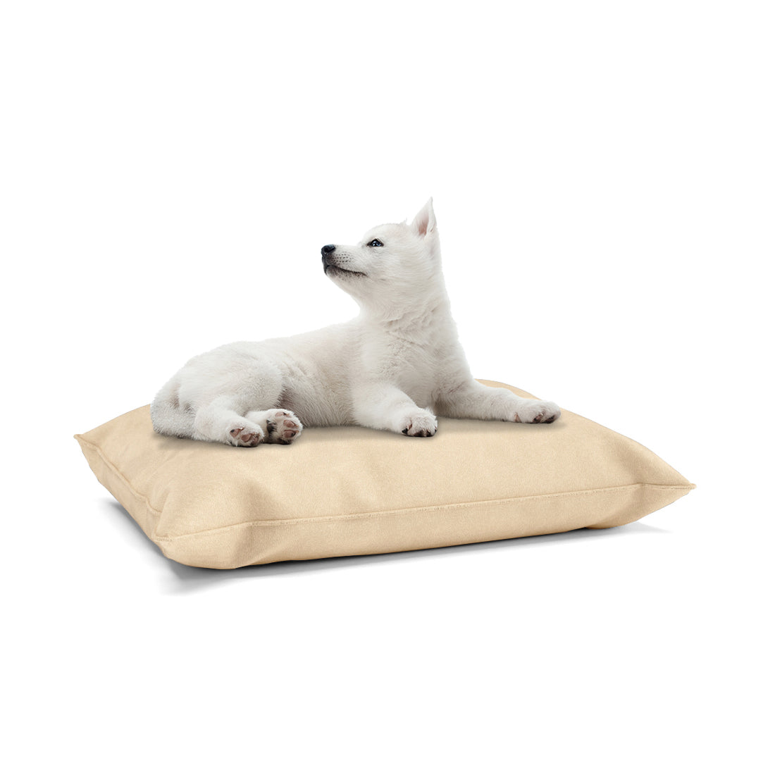 Luxury Velvet Look Beige Personalized Pillow Style Dog Bed