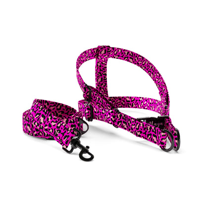 Leopard Rose Personalized Dog Fashion Belt Harness And Leash Set