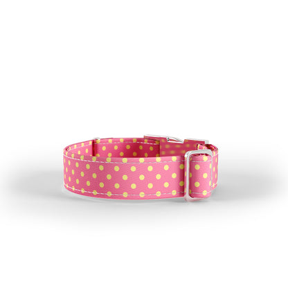 Trio Polka Dot Pale Personalized Dog Collar And Leash Set