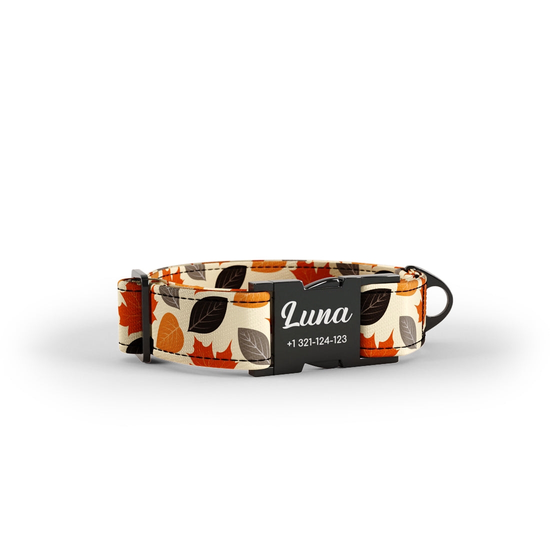 Herbstfarben Pfirsich personalisiertes Hundehalsband und Leine-Set