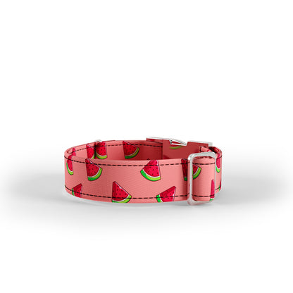 Wattermelon Mimi Personalized Dog Collar And Leash Set