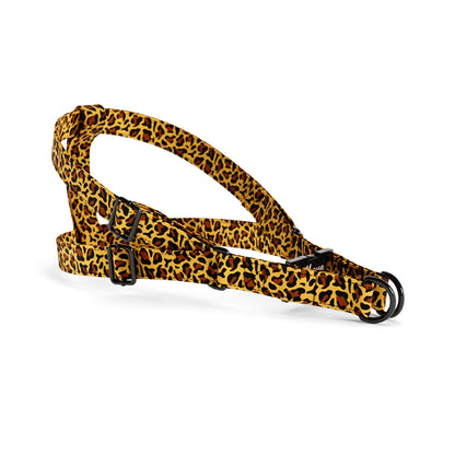 Leopard Persian Personalized Dog Belt Harness