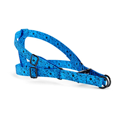 Mexico Skulls Dodger Personalized Dog Belt Harness