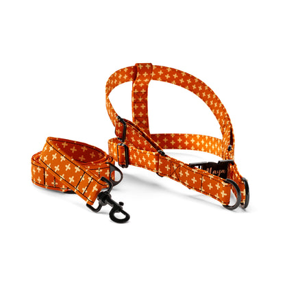 Little Fox Liver Personalized Dog Fashion Belt Harness And Leash Set