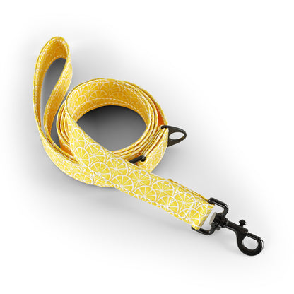 Pink Lemonade Aureolin Dog Fashion Leash