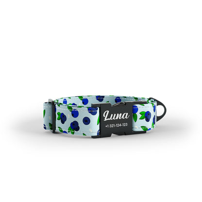 Tutti Frutti Wezzy Personalized Dog Collar