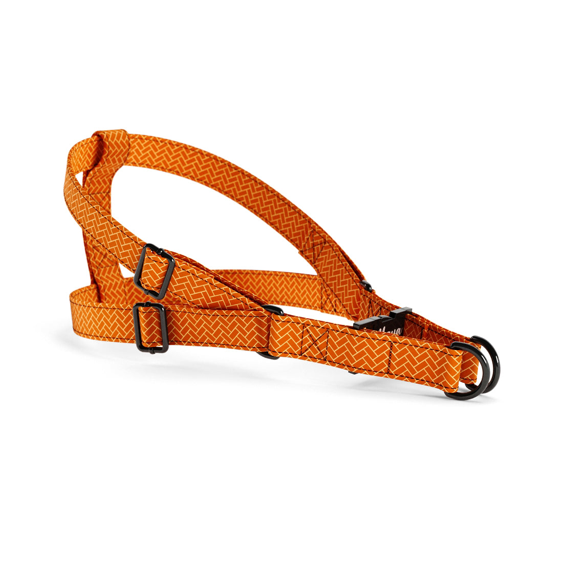 Little Fox Saffron Personalized Dog Belt Harness