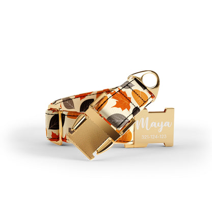 Herbstfarben Pfirsich personalisiertes Hundehalsband und Leine-Set