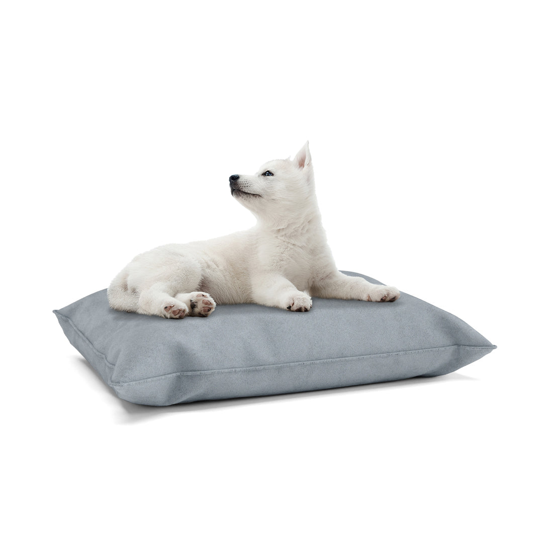 Luxury Velvet Look Gainsboro Personalized Pillow Style Dog Bed