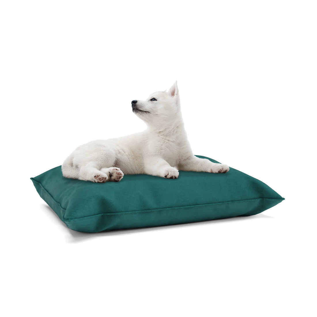 Luxury Velvet Look Sacramento Personalized Pillow Style Dog Bed