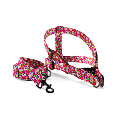 Mexico Skulls Cerise Personalized Dog Fashion Belt Harness And Leash Set