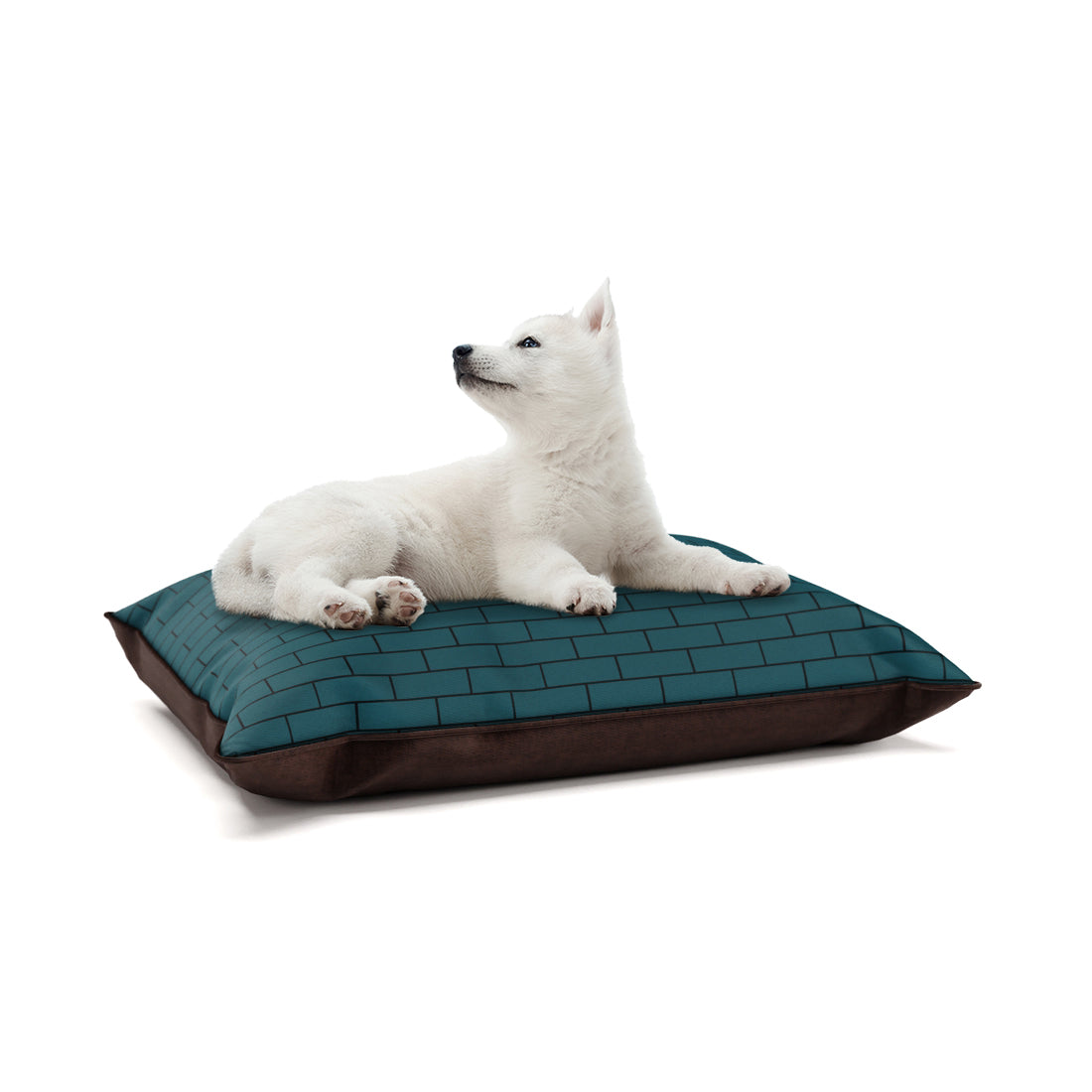 Little Fox Duke Personalized Pillow Style Fashion Dog Bed