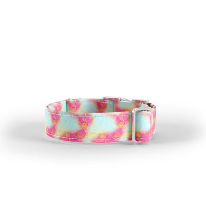 Pastel Marble  Beau Personalized Dog Collar And Leash Set