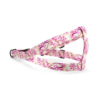 Sakura Salmon Personalized Dog Fashion Belt Harness And Leash Set