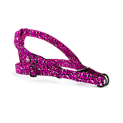 Leopard Rose Personalized Dog Belt Harness