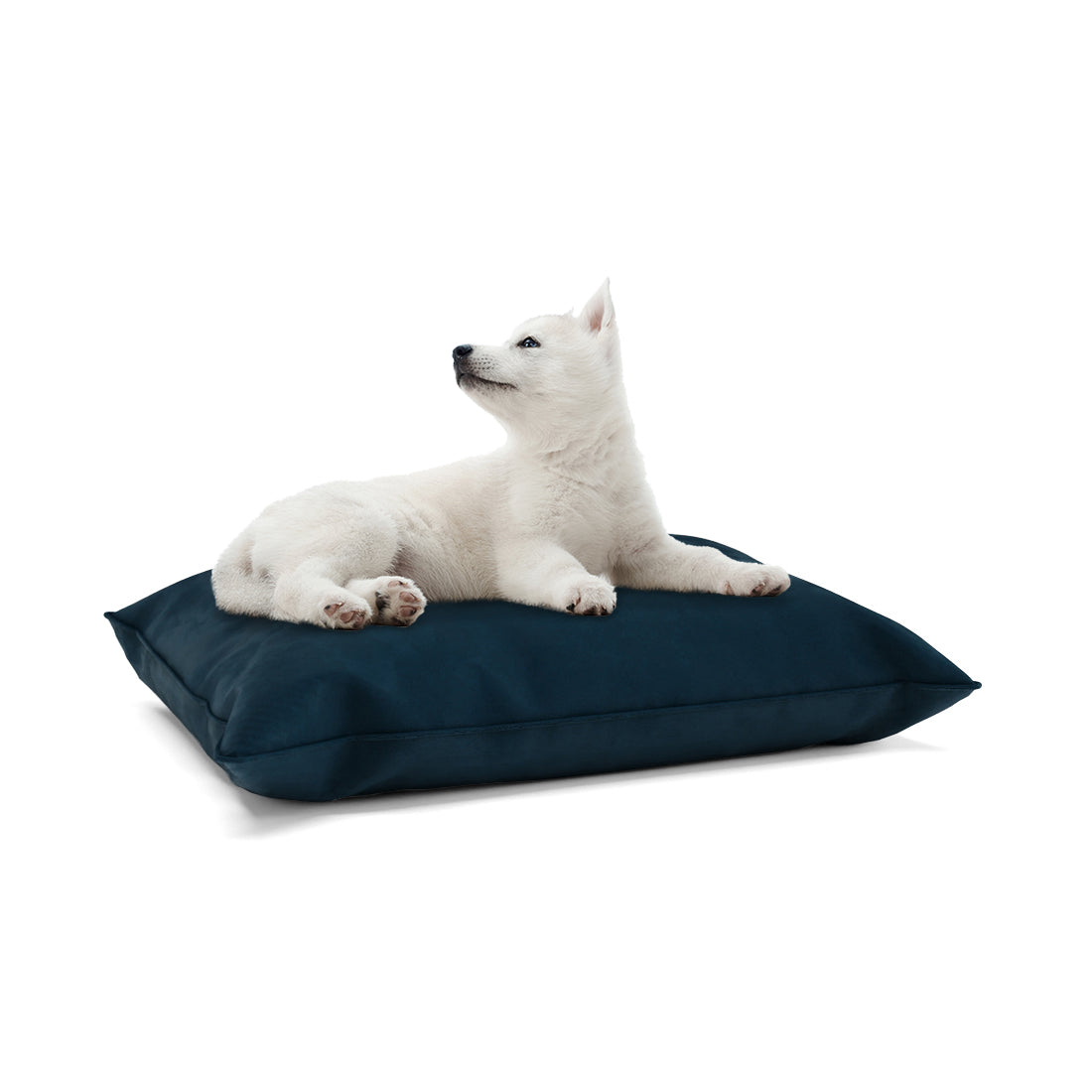 Luxury Velvet Look Midnight Personalized Pillow Style Dog Bed