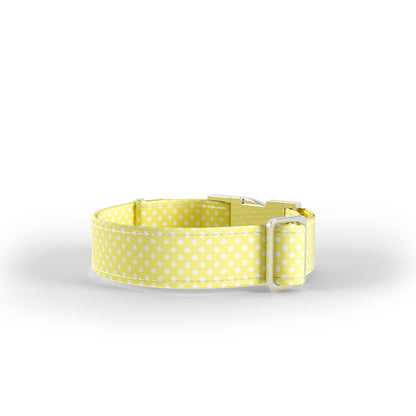 Sweat Polka Dots Aureolin Personalized Dog Collar And Leash Set