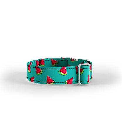 Wattermelon Jungle Personalized Dog Collar And Leash Set