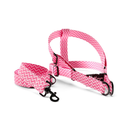 Summer Love Vanilla Personalized Dog Fashion Belt Harness And Leash Set