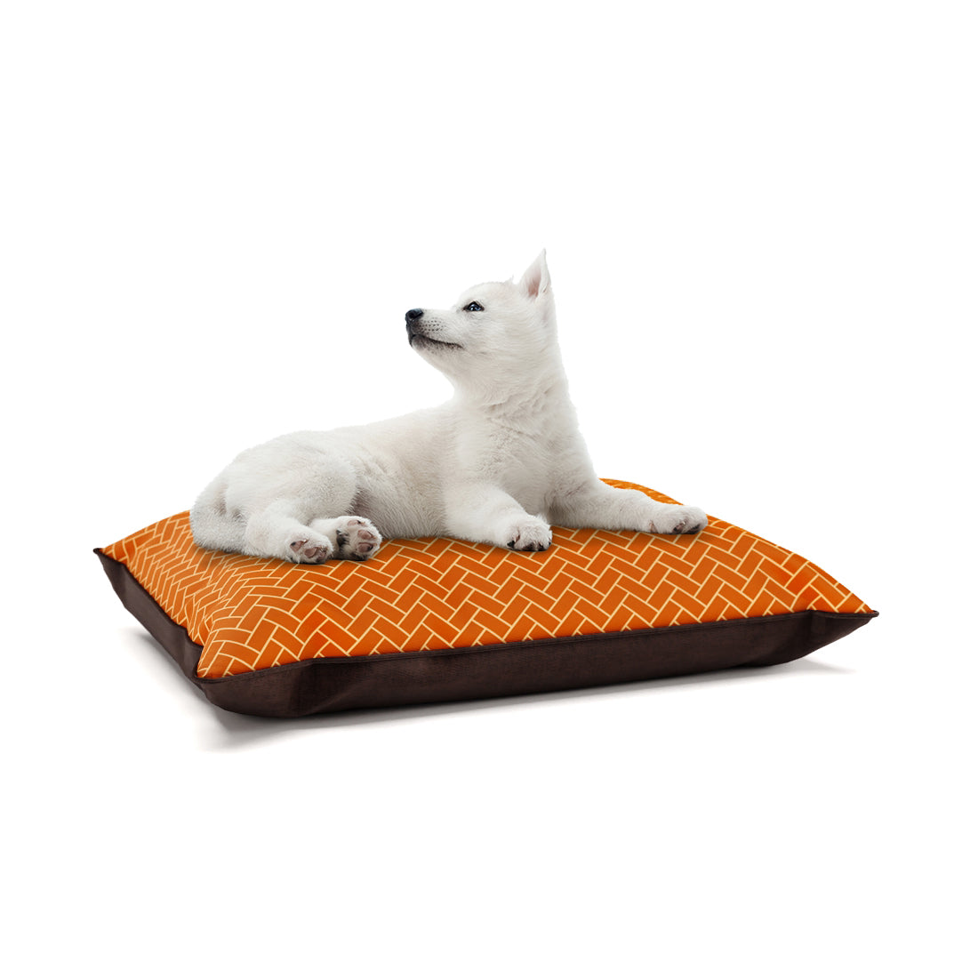 Little Fox Safran Personalisiertes Kissen im modischen Hundebett