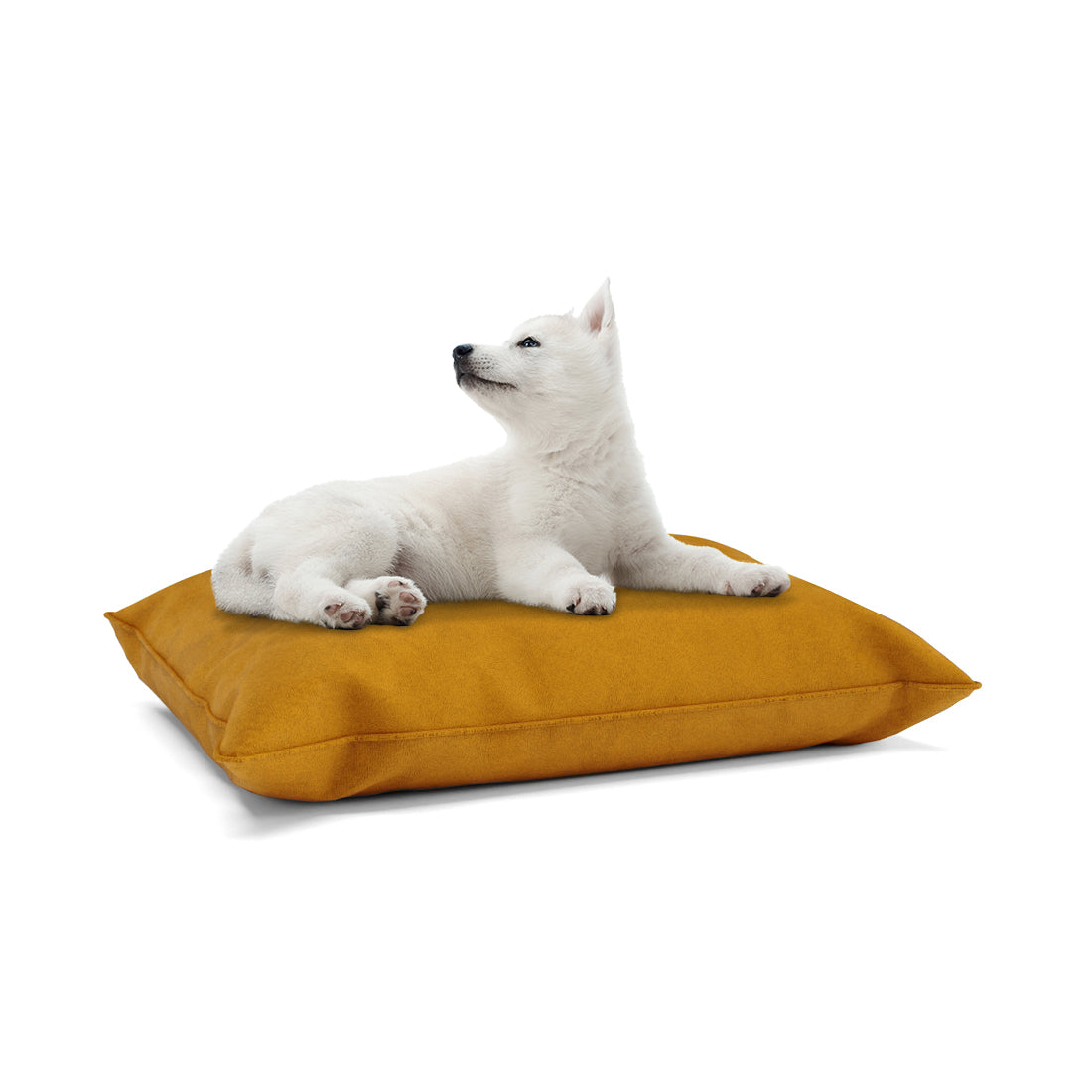 Luxury Velvet Look Safron Personalized Pillow Style Dog Bed