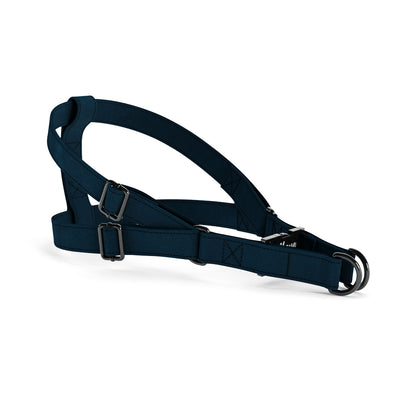 Velvet Look Midnight Personalized Dog Belt Harness