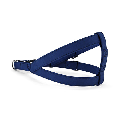 Velvet Look Royal Personalized Dog Belt Harness And Leash Set