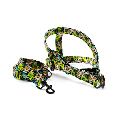 Garden Flowers Kelly Personalized Dog Fashion Belt Harness And Leash Set