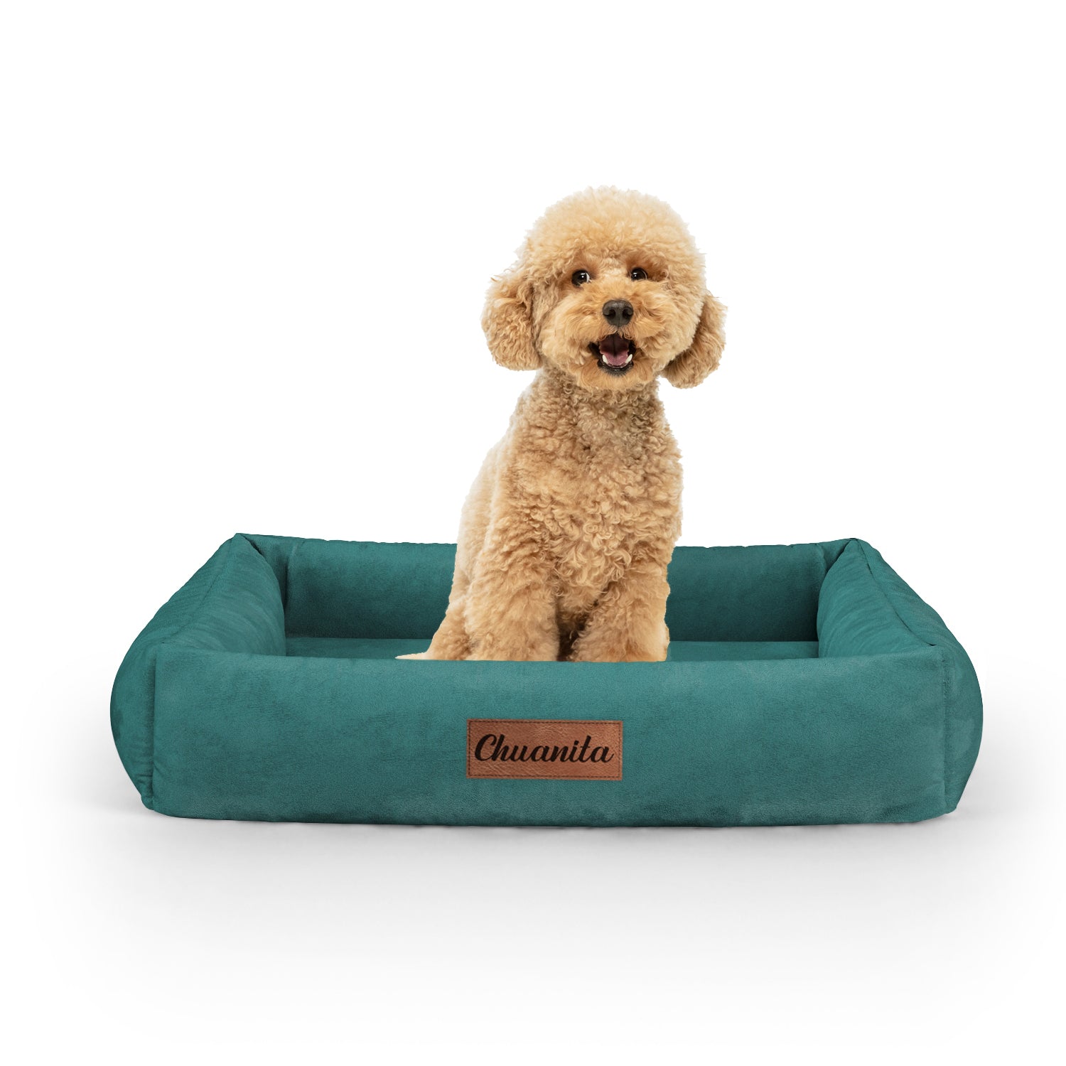 Luxury Velvet Look Sacramento Personalized Lounge Dog Bed With Sides